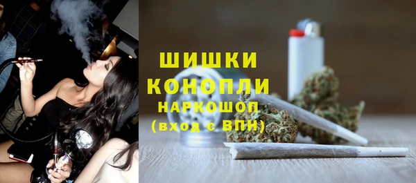 прущие грибы Майский