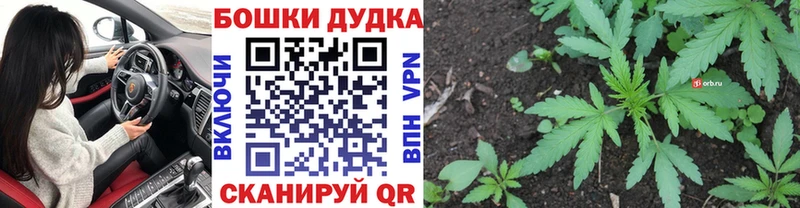 Бошки марихуана ГИДРОПОН  Пойковский 